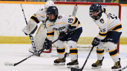 Color of Hockey Phoebe Gao mentoring Chinese Canadian youth