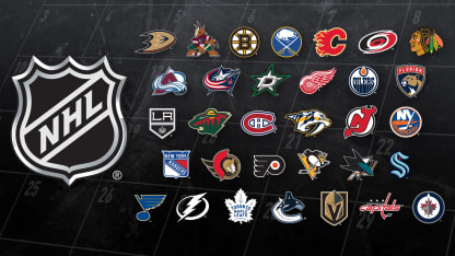 Guía de cada uno los 32 equipos de la NHL