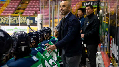 Gomez Coaching 3