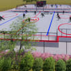 Canes, NHL Partner On Apex Street Hockey Rinks