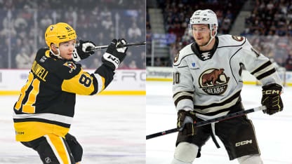 AHL Notebook Eastern Conference prospects in playoff race