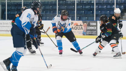 LGBTQ+ hockey players welcomed for Canada Cup tournament