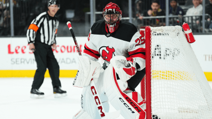 nhl fantasy hockey top 25 goaltender rankings pools